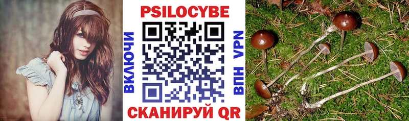 Псилоцибиновые грибы ЛСД  Зуевка 