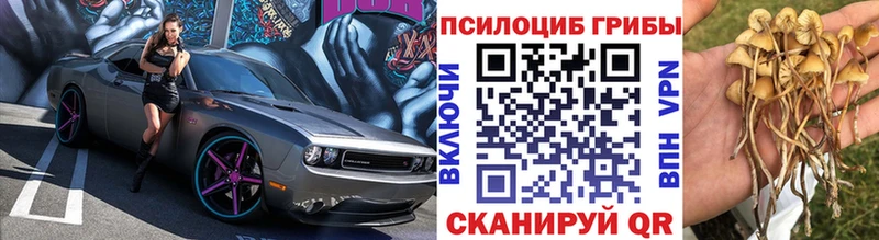 Псилоцибиновые грибы GOLDEN TEACHER Зуевка