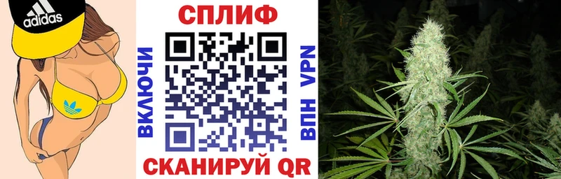 Шишки марихуана ГИДРОПОН  продажа наркотиков  Зуевка 